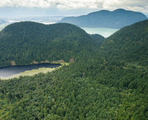 Echo Lake and the surrounding ancient forests.