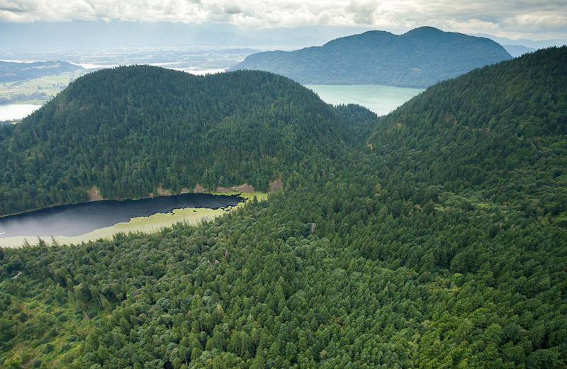 Echo Lake and the surrounding ancient forests.