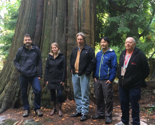From left to right: Jens Wieting (Sierra Club of BC); Andrea Inness (AFA); Dan Hager (Port Renfrew Chamber of Commerce); Ken Wu (AFA); and Arnold Bercov (Public and Private Workers of Canada) by an old-growth redcedar tree in Stanley Park.