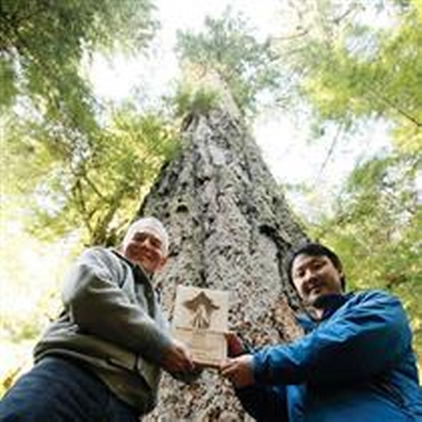 At Cathedral Grove