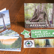 Photo: Ancient Forest Giftpack (calendar