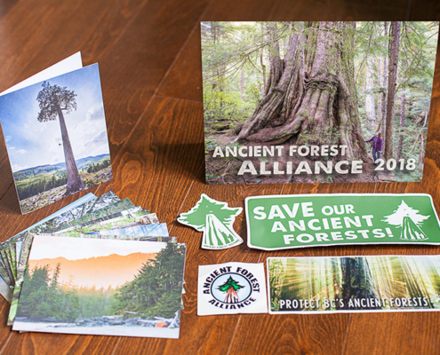 Photo: Ancient Forest Giftpack (calendar