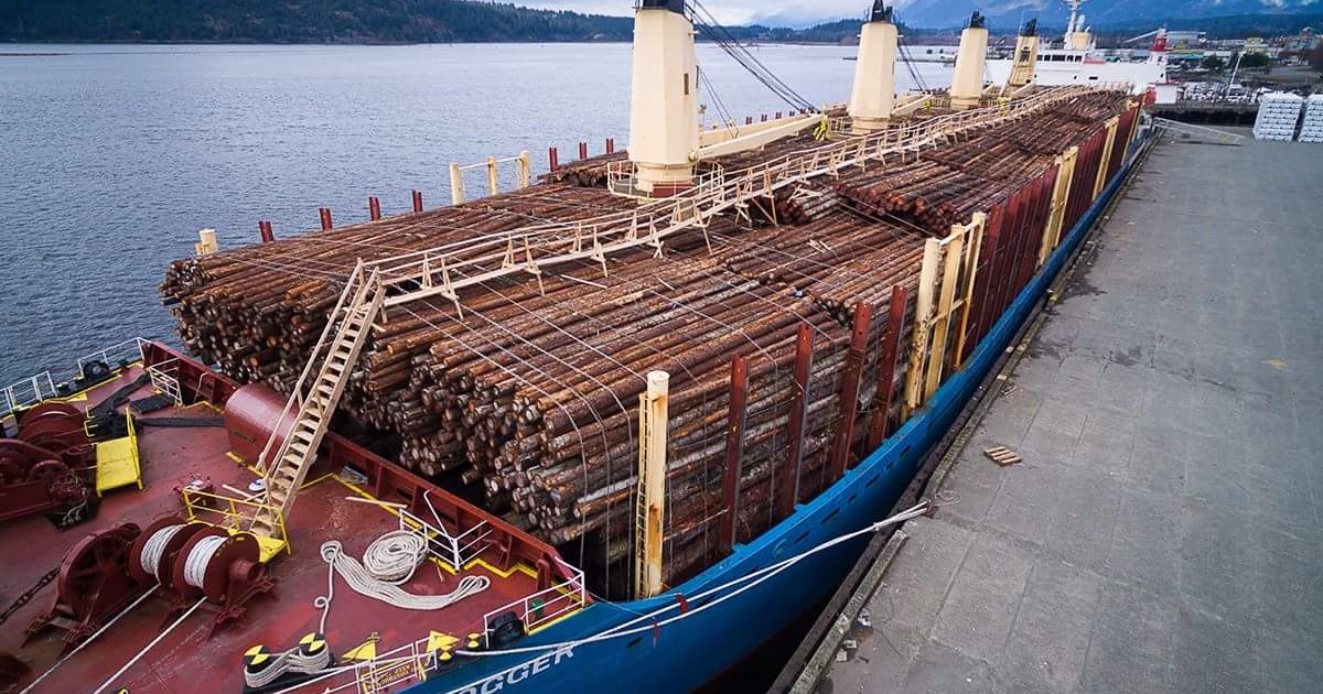 A ship loaded with raw logs headed for Japan sits docked in Port Alberni on Feb 24