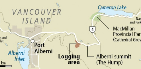 A map detailing the area of planned logging.