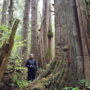 Kelly Richardson in Avatar Grove