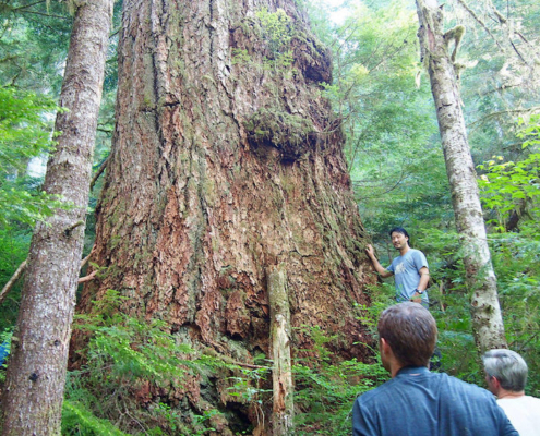AFA executive director Ken Wu stands beside the Alberni Giant