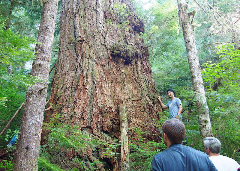 AFA executive director Ken Wu stands beside the Alberni Giant