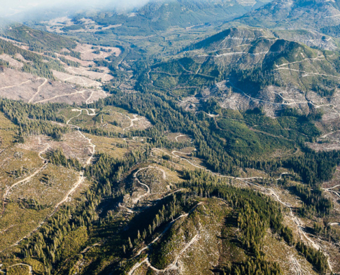 Tree Farm Licence 44