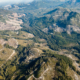 Tree Farm Licence 44