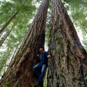 Rare old-growth Douglas Fir trees in the threatend Koksilah River grove.