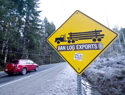 Forestry workers and the Ancient Forest Alliance