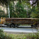 Much of Vancouver Island's second-growth forest is being logged quickly and shipped out of BC as raw logs instead of being processed and manufactured at local mills.