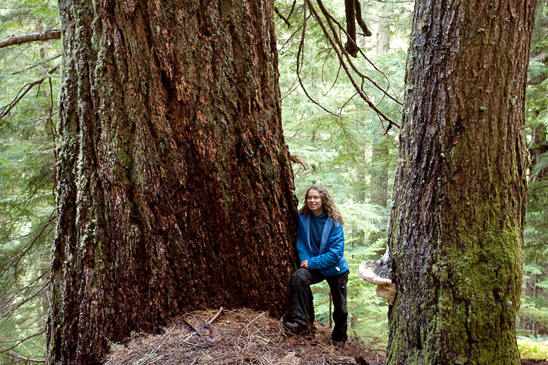 Jane Morden by an Ancient Douglas-fir in the McLaughlin Ridge