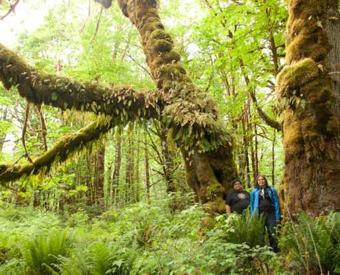 Hul'qumi'num Chief Treaty Negotiator Robert Morales and and HTG Executive Assistant Rosanne Daniels under the mossy maples.