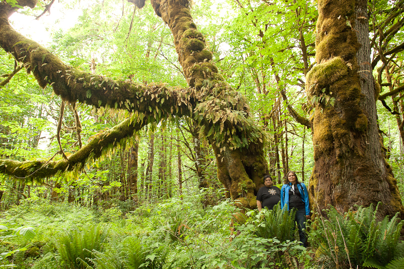 Hul'qumi'num Chief Treaty Negotiator Robert Morales and and HTG Executive Assistant Rosanne Daniels under the mossy maples.