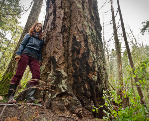 Benna Keoghoe stands next to a giant Douglas fir measuring 6ft in diameter growing in Mount Doug Park located within the Oak Bay/Gordon Head swing riding.