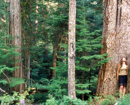 The Nahmint Valley near Port Alberni has some of the last remaining tracts of unprotected old-growth Douglas fir forests.