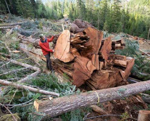 TJ Watt beside an enormous