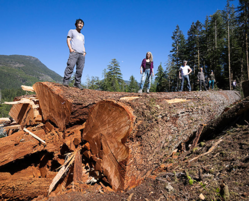 The AFA's Ken Wu and local Port Alberni conservationists stand atop Canada's 9th-widest Douglas-fir tree