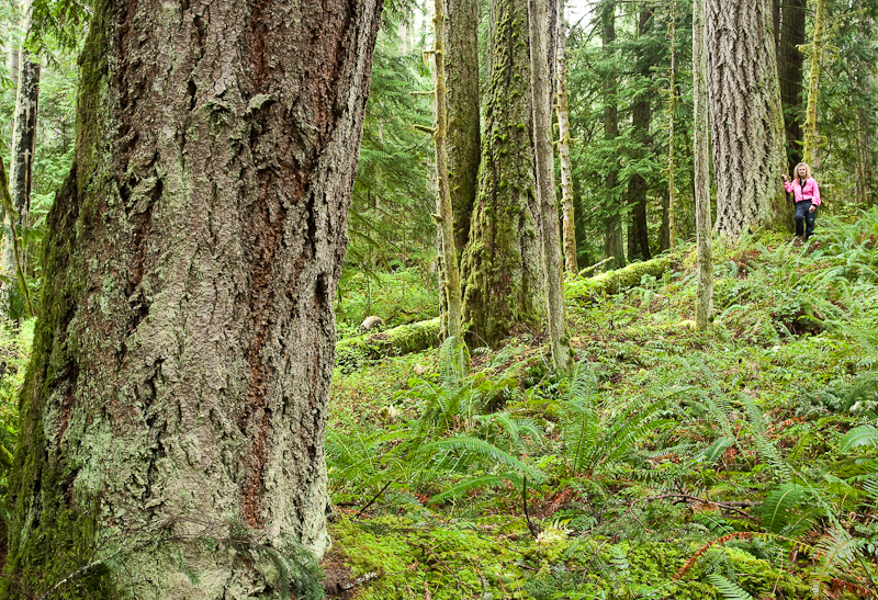 Helga Schmitt's home borders a piece of land for which a timber harvesting licence has been issued. The Nanoose First Nation received the licence to harvest 15