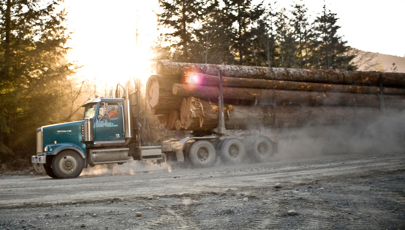 Old-growth logs head out of the the Gordon River Valley near Lake Cowichan on Vancouver Island