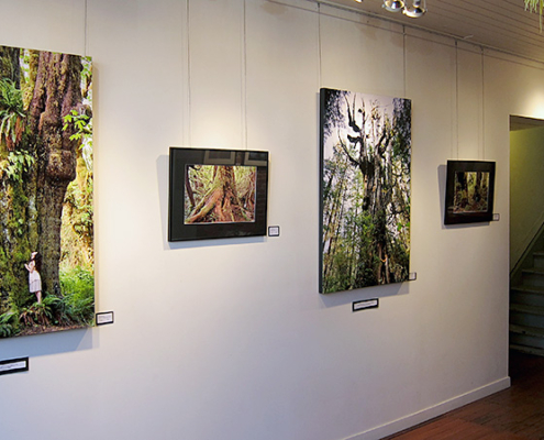 A sneek peek at some of TJ Watt's photos on display and for sale at Dales Gallery until Friday