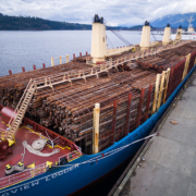 A ship loaded with raw logs sits docked in Port Alberni on Feb 24