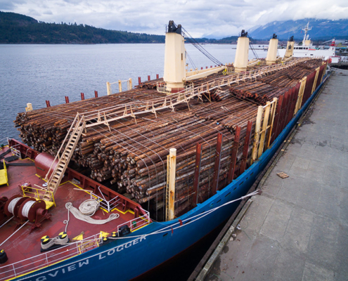 A ship loaded with raw logs sits docked in Port Alberni on Feb 24