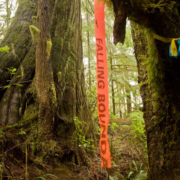 Logging markings in Port Renfrew.