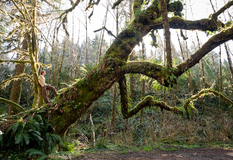 Photographer TJ Watt stands on the back of a giant dinosaur shaped old-growth Maple tree alongside the San Juan river