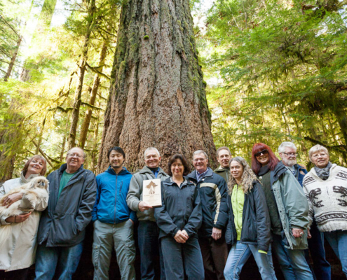 MLA Scott Fraser receiving his award at Cathedral Grove alongside the Ancient Forest Alliance and many other important local supporters!