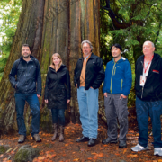 From left to right: Jens Wieting (Sierra Club of BC); Andrea Inness (AFA); Dan Hager (Port Renfrew Chamber of Commerce); Ken Wu (AFA); and Arnold Bercov (Public and Private Workers of Canada) by an old-growth redcedar tree in Stanley Park.