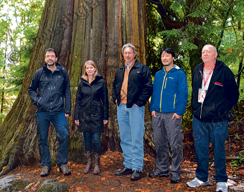 From left to right: Jens Wieting (Sierra Club of BC); Andrea Inness (AFA); Dan Hager (Port Renfrew Chamber of Commerce); Ken Wu (AFA); and Arnold Bercov (Public and Private Workers of Canada) by an old-growth redcedar tree in Stanley Park.