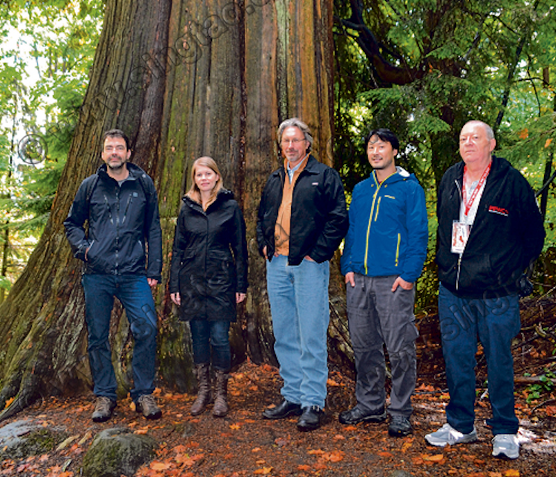 From left to right: Jens Wieting (Sierra Club of BC); Andrea Inness (AFA); Dan Hager (Port Renfrew Chamber of Commerce); Ken Wu (AFA); and Arnold Bercov (Public and Private Workers of Canada) by an old-growth redcedar tree in Stanley Park.