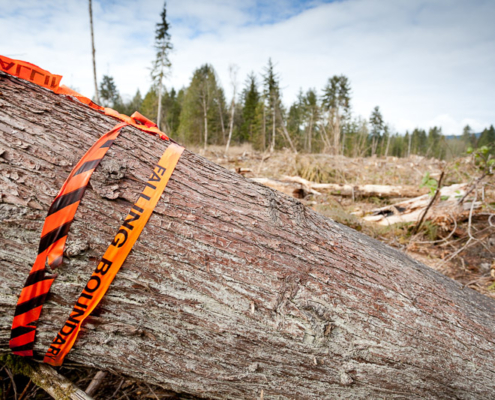 Logging by Island Timberlands in Powell River
