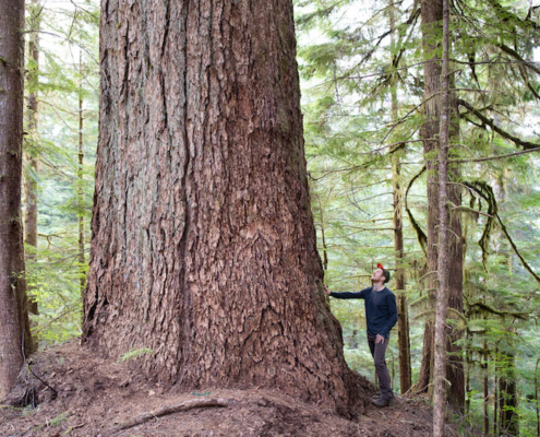 Ancient Forest Alliance campaigner TJ Watt next to Canada's 9th-widest Douglas-fir tree