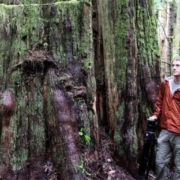 T.J. Watt of Ancient Forest Alliance stands in July 2011 next to old-growth red cedar in Avatar Grove near Port Renfrew.