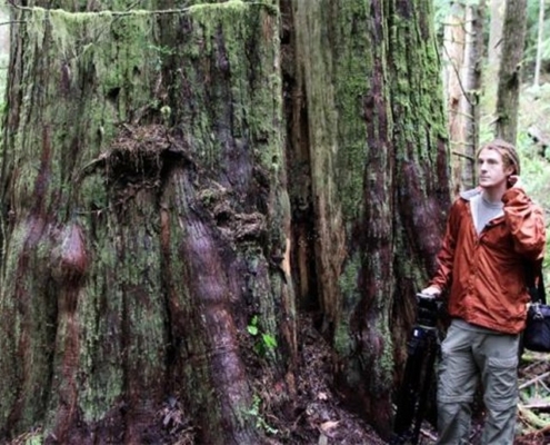 T.J. Watt of Ancient Forest Alliance stands in July 2011 next to old-growth red cedar in Avatar Grove near Port Renfrew.
