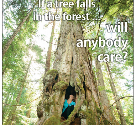 The Local - Cover Shot