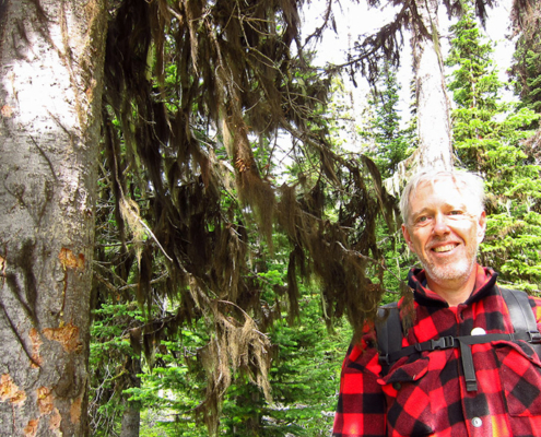 Renowned lichenologist Trevor Goward stands beside the new species of Bryoria or "horsehair lichen" he discovered. To place a bid for the naming rights to this species visit:  https://www.charitybuzz.com/categories/43/catalog_items/272986