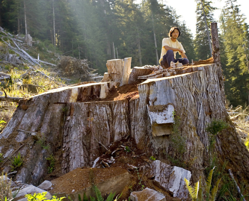 AFA Campaign Director Ken Wu sits atop a massive