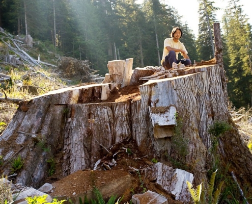 Upper Walbran Valley - Giant redcedar stump. Vancouver Island