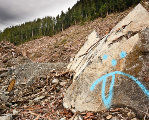 Loggers painted a sad face with its tongue sticking out making a mockery of the old-growth devastation in the background. Upper Walbran Valley