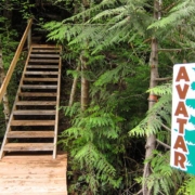 A new bridge and staircase leading into the Upper Avatar Grove.