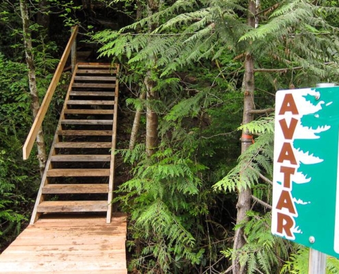 A new bridge and staircase leading into the Upper Avatar Grove.