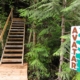 A new bridge and staircase leading into the Upper Avatar Grove.