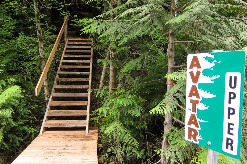 A new bridge and staircase leading into the Upper Avatar Grove.