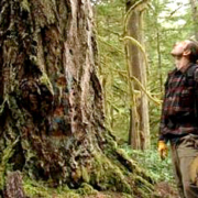 Cortes Island resident Fred Savage next to a 400-year old Douglas fir