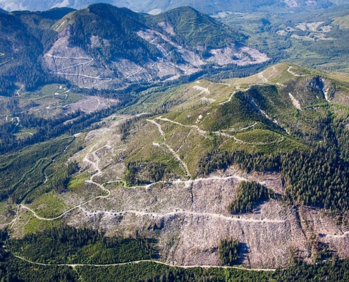 Old-growth clearcutting in the Klanawa Valley on Vancouver Island