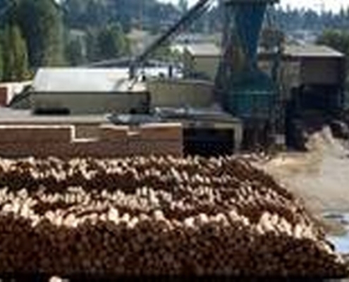 Logs to be processed are pictured at Interfor's Acorn Division mill in Delta